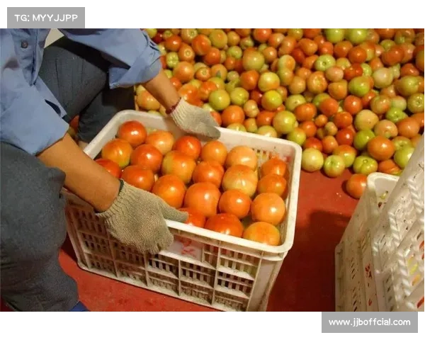 茂名墟BA联赛融合农文旅特色助农增收16支镇队展示一村一品精彩风貌